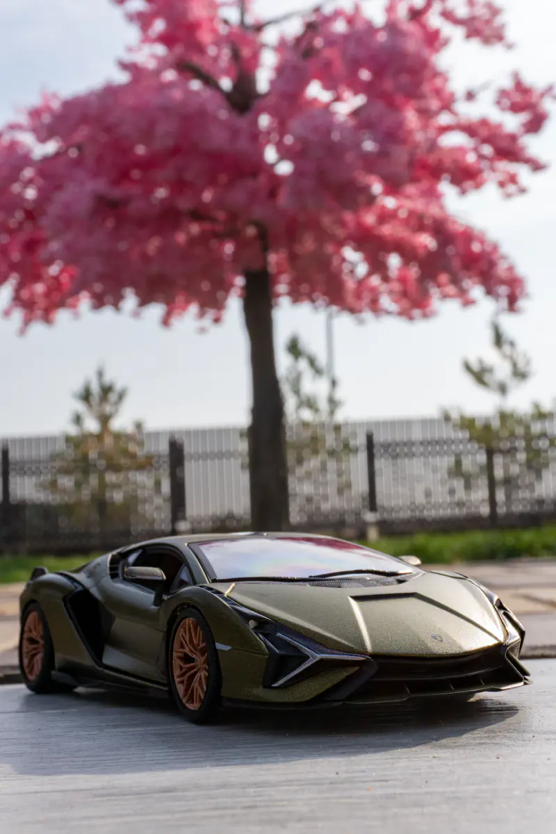 Lambo car and Rose Tree, Chunja, Kazakhstan