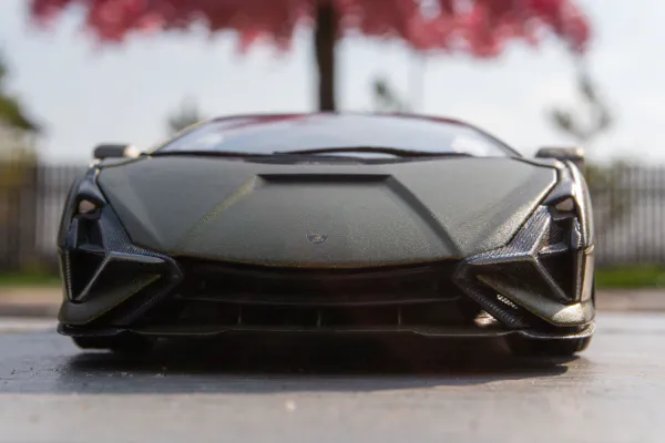 Lambo car front and Rose Tree, Chunja, Kazakhstan