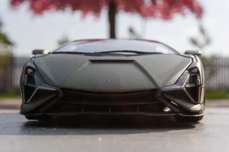 Lambo car front and Rose Tree, Chunja, Kazakhstan